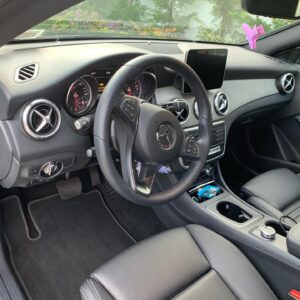 Expert Interior Car Detailing Services in Bay Shore, NY for Stain Removal
